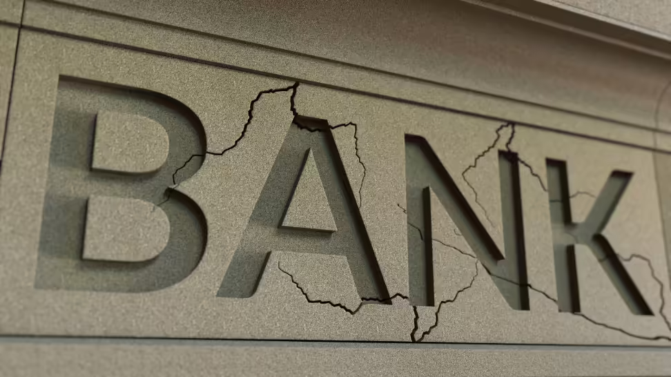 The Silicon Valley Bank Collapse