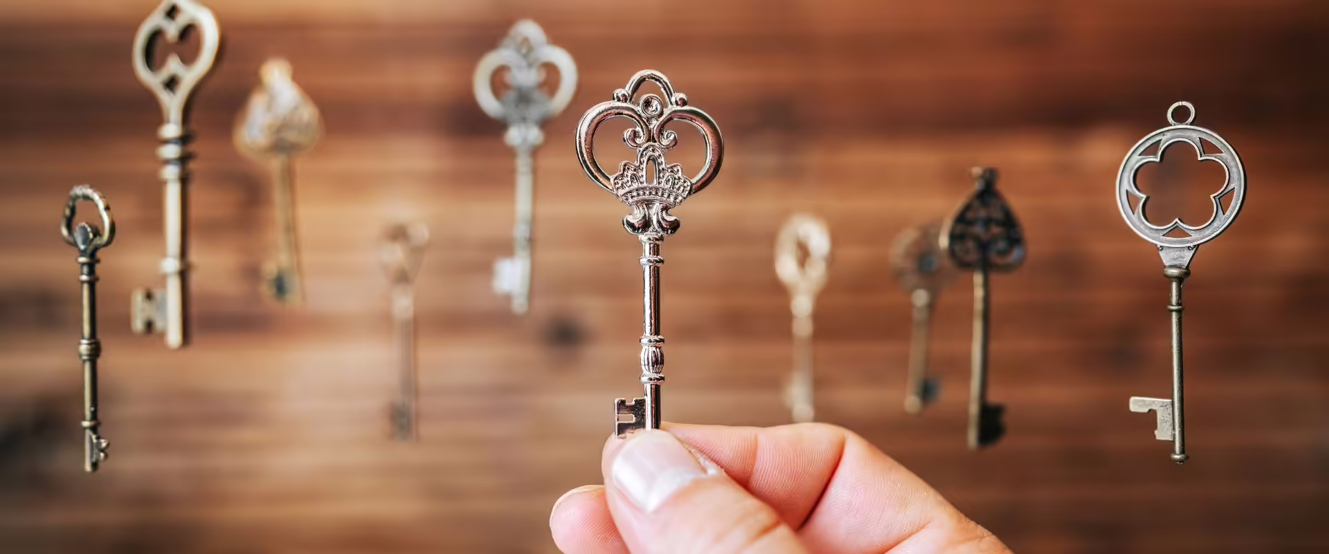 How to Choose the Right Asset Protection Plan