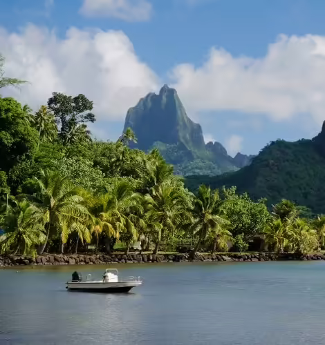 Cook Islands Trust Webinar - May 14th