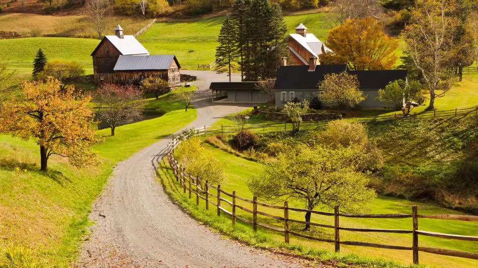 Protecting Property: Exploring Homestead Exemptions by State