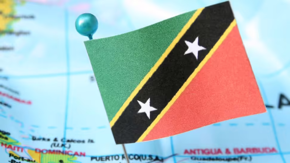 When Is a Nevis LLC Beneficial for Investors?