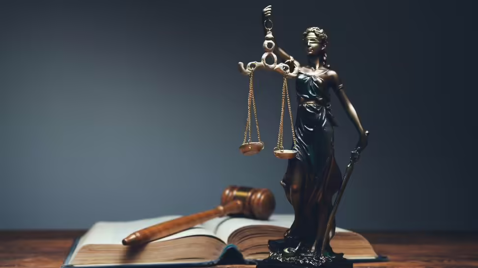 How Your Children Might Unintentionally Increase Lawsuit Risks
